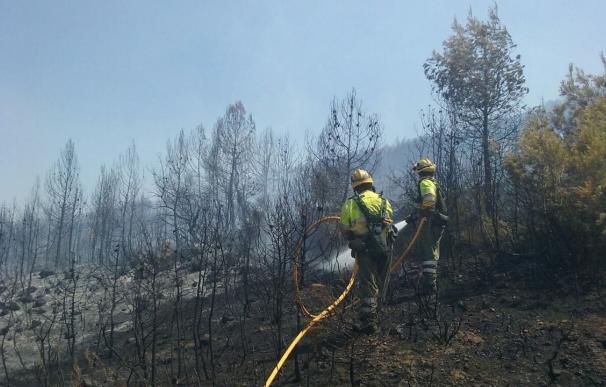 Estabilizado el fuego en la Sierra de Mariola en Bocairent (Valencia), que ha afectado a 10 hectáreas