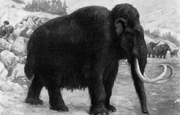 Un científico coreano trabaja sin descanso... ¡Para resucitar a los mamuts!