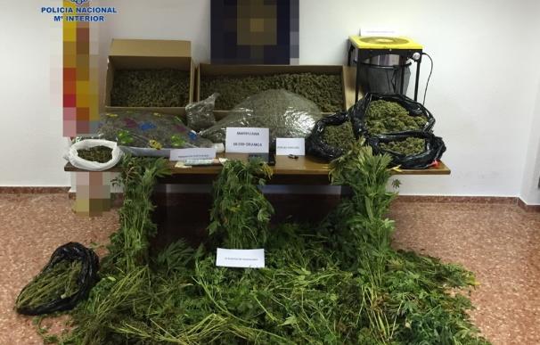 La Policía Nacional desmantela una plantación de marihuana en un domicilio de Ador