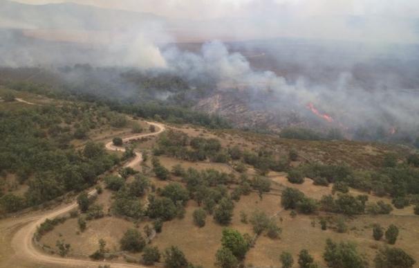 El fuego ha arrasado casi 8.000 hectáreas en el país en el primer semestre, casi la mitad que el año pasado