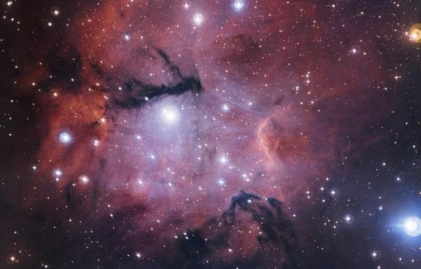 El ESO presenta una imagen de un "nido estelar" casi desconocido