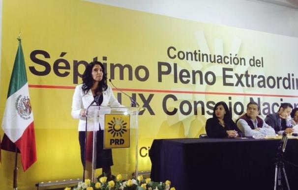 Barrales, nueva presidenta del mexicano PRD, llama a "convertir la diversidad del partido en fortaleza"