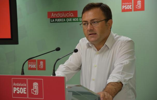 Heredia (PSOE) dice que al PP "se le ha caído lo que había montado" con la formación en Andalucía