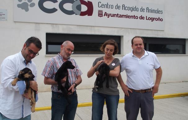 929 animales ingresaron el año pasado en el Centro Municipal de Acogida