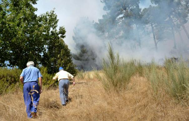 Controlado un incendio en Ourense tras arder 38 hectáreas de monte raso