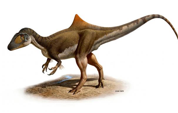 "Pepito", el primer dinosaurio de una nueva especie