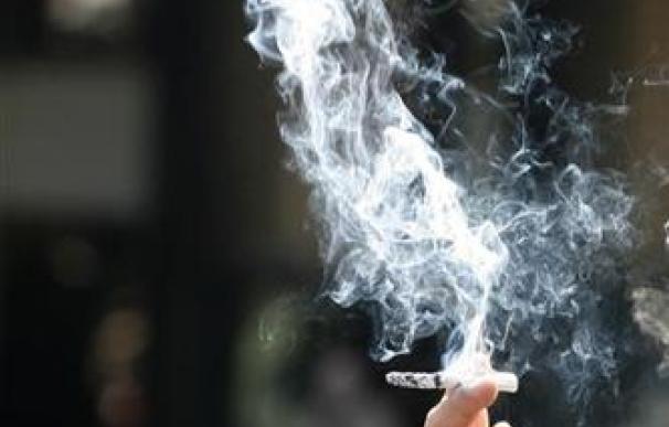 El País Vasco prohibirá fumar en coches donde viajen menores