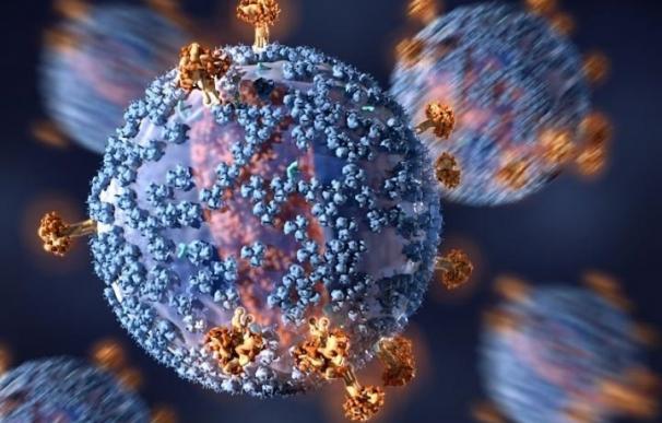 Alteraciones del microbioma podrían explican la mala salud de bebés expuestos al VIH pero no infectados