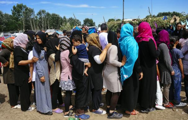 Cientos de migrantes sobreviven como pueden en la frontera entre Serbia y Hungria