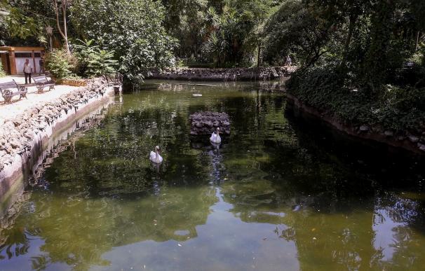 El Ayuntamiento finaliza las obras del puente de los patos del Parque María Luisa y el llenado del estanque