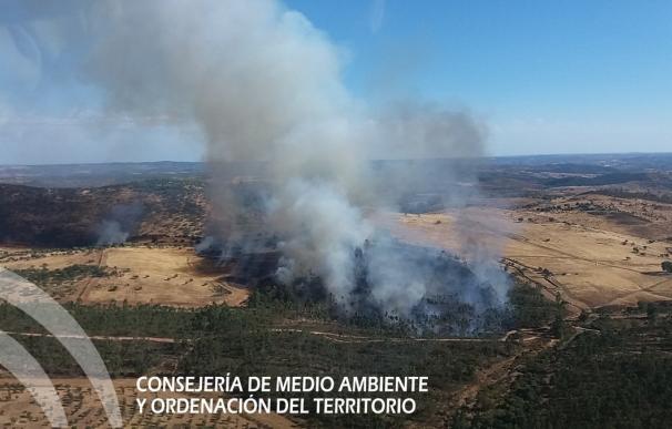 Declarado un incendio forestal en el paraje Ribera Chica del Cerro del Andévalo