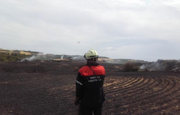 Un incendio quema más de 4 hectáreas y afecta a rastrojos y pinos en las Bardenas (Pamplona)