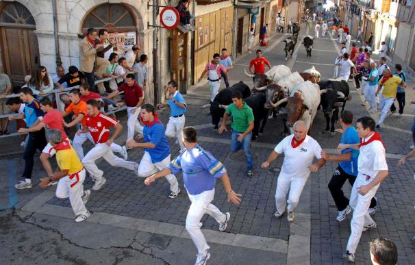 Cuéllar (Segovia) concluye los encierros con un festejo rápido y de bonitas carreras