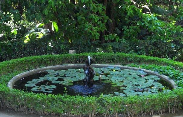 Tres esculturas del Jardín Botánico La Concepción se preparan para ser restauradas