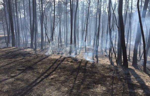 Los bomberos siguen trabajando en cinco incendios forestales en Catalunya