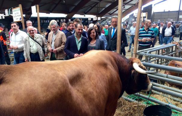 Álvarez cree que el ajuste de la producción láctea en Asturias va a ser pequeño