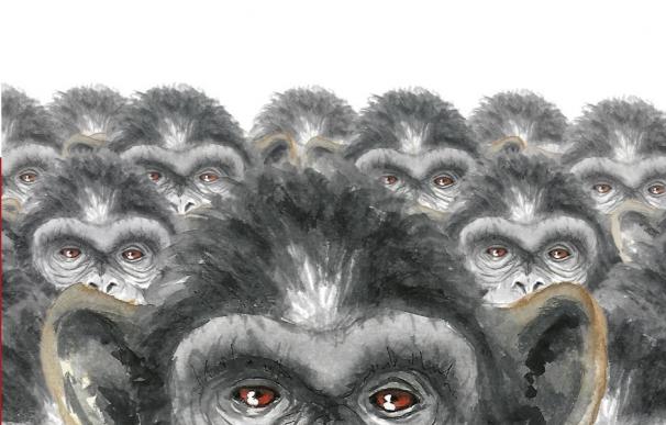 El poeta José Manuel Gallardo publica 'Infinitos monos', una reflexión sobre la comunicación y sus posibilidades