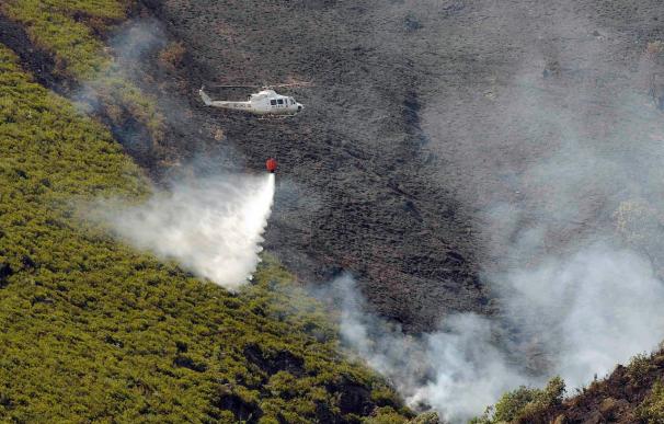 El viento reaviva el incendio de Picos de Europa que ha quemado 113 hectáreas
