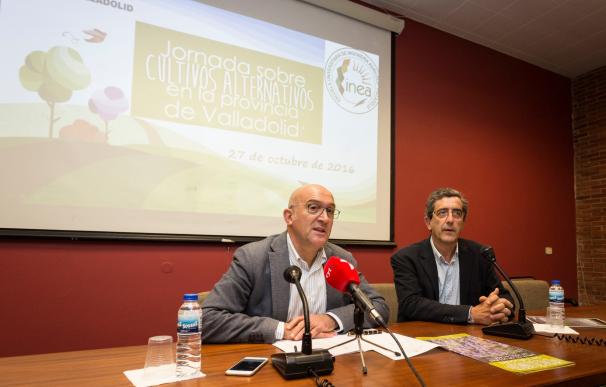 Diputación de Valladolid e INEA se unen para favorecer el desarrollo de cultivos alternativos en la provincia