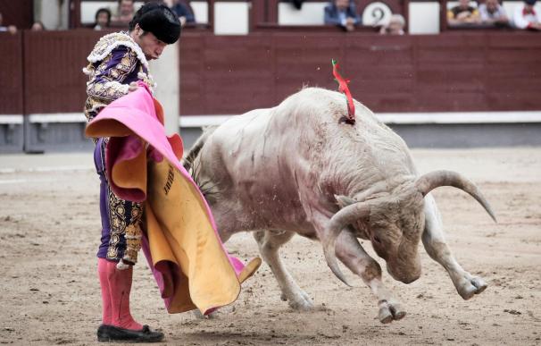 Javier Herrero corta el rabo en Cuéllar (Segovia) al toro de su alternativa