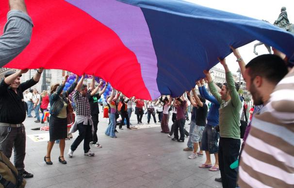 Los bisexuales despliegan una gran bandera para reivindicar su visibilidad