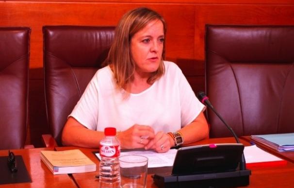 PP presenta 55 enmiendas al proyecto de Ley de Espectáculos de PRC-PSOE, que "incumple" la normativa de régimen local