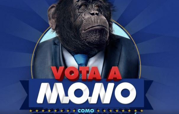 Campaña publicitaria 'Vota a mono como ministro de Economia'