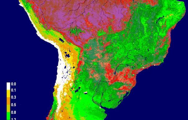El Amazonas sufrió una alarmante sequía en 2010