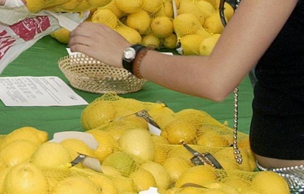 Agosto registra subidas en los limones y en las naranjas