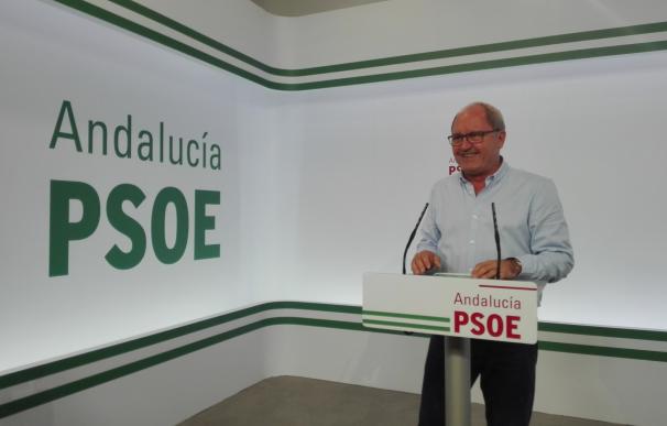 PSOE-A ve "propio de regímenes antidemocráticos" que el PP-A ponga en marcha un teléfono para denuncias sanitarias