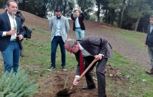 El Ayuntamiento reforesta con 50.000 árboles y un millón de semillas los parques periurbanos de Málaga