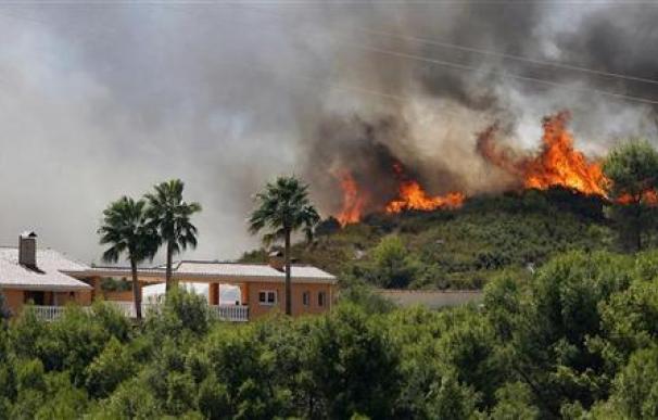 Casi 2.500 hectáreas arrasadas por los incendios en Valencia