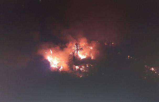Sofocan un conato de incendio que quemó 4.000 m2 de terreno en La Culata (Gran Canaria)