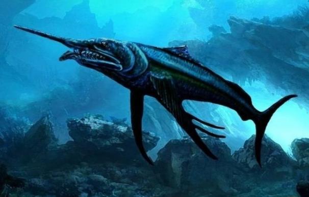 Un pez espada fósil de la era de los dinosaurios aparece en Australia
