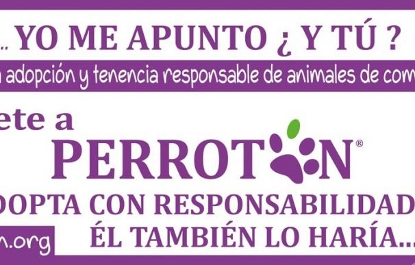Dueños y animales de compañía correrán el domingo por Madrid en la quinta edición de Perrotón