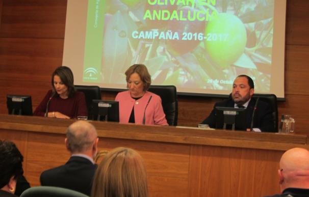 La producción de aceite de oliva en Andalucía se situará en 1,1 millones de TM de las que 542.000 serán de Jaén