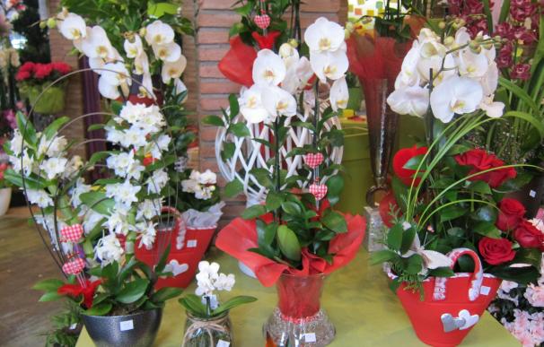 La Asociación de Floristas de Toledo pide mayor control a ayuntamientos sobre la venta ilegal de flores en Los Santos