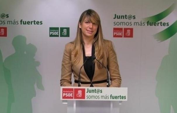 PSOE reclama un calendario de reuniones entre el Ayuntamiento de Málaga y asociaciones de cooperación