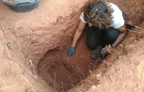 Recuperan los restos óseos de una fosa franquista del cementerio de Tremp (Lleida)