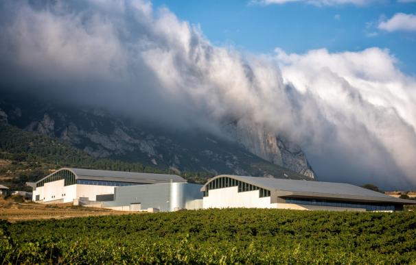 Vega Sicilia y Rothschild invierten 22 millones en Samaniego, donde se elabora su primera cosecha de Macán