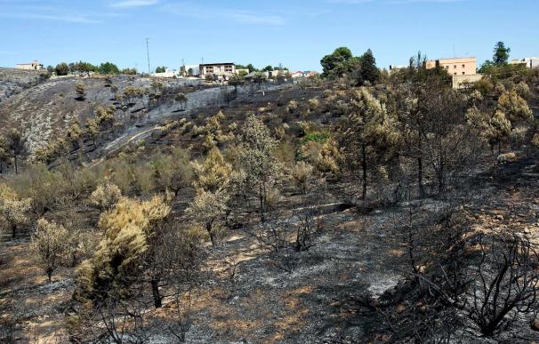 El Gobierno invierte 4,3 millones en 18 municipios para lucha contra incendios