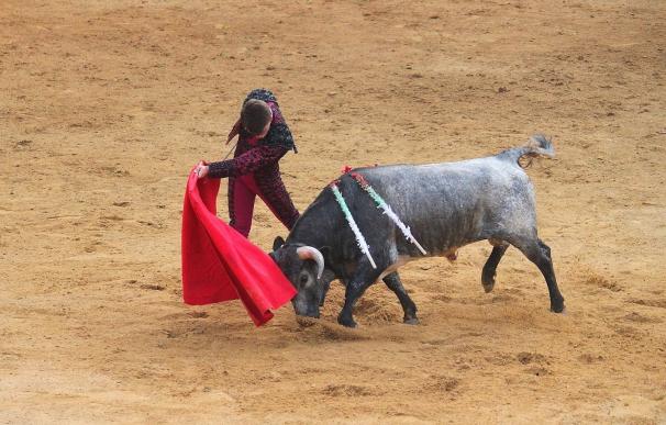 SíQueEsPot pide al Govern "que se mantenga firme" y defienda el veto a los toros