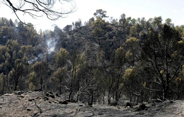 Unas 200 personas trabajan en incendio Calasparra con mil hectáreas afectadas