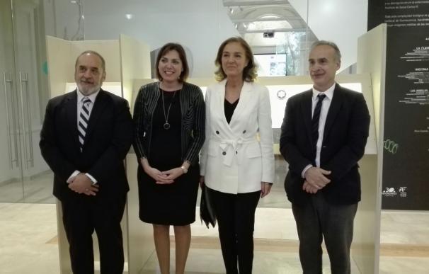 Murcia, dispuesta a "liderar un cambio nacional hacia la medicina de precisión" según la consejera