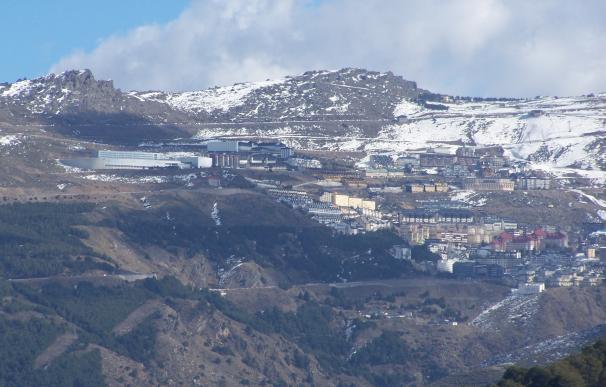 Un estudio revela que Sierra Nevada está perdiendo su "carácter alpino" debido a cambios en el clima