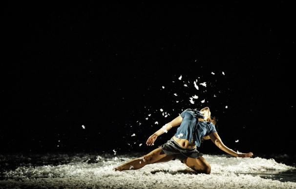 Babirusa Danza llega el viernes al Palacio de Festivales con el espectáculo 'Brea y plumas'