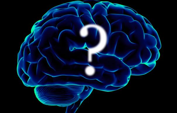 ¿Estás usando bien tu cerebro?
