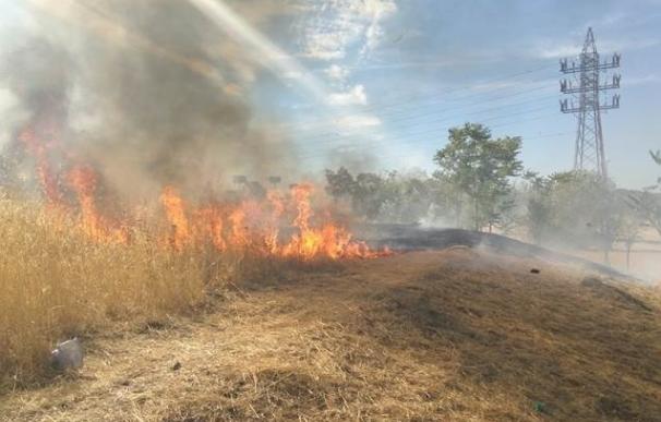 El Congreso, sin el PP, pide volver a la Ley de Montes que prohibía recalificar terrenos quemados en 30 años
