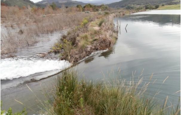 Ecologistas en Acción denuncia que la recuperación de la marisma de Rubín incumple el proyecto