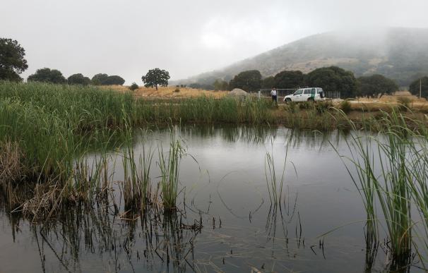 Junta propone incluir la Laguna del Puerto de Zafarraya en el Inventario de Humedales de Andalucía